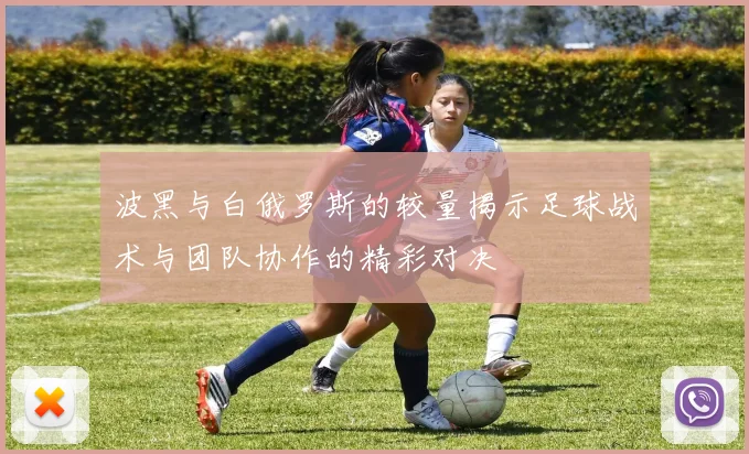 波黑与白俄罗斯的较量揭示足球战术与团队协作的精彩对决