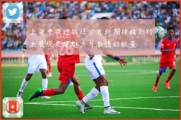 上海申花迎战辽宁开新期待精彩对决展现足球魅力与激情的较量