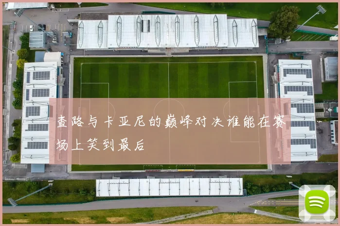 查路与卡亚尼的巅峰对决谁能在赛场上笑到最后