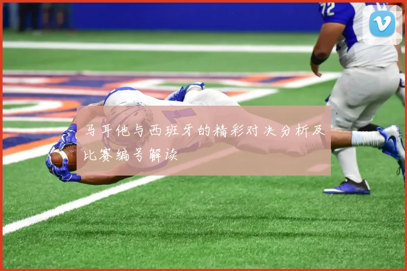 马耳他与西班牙的精彩对决分析及比赛编号解读