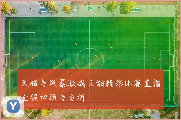 天猫与风暴激战正酣精彩比赛直播全程回顾与分析