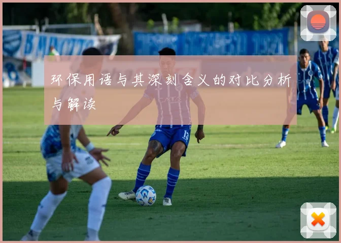 环保用语与其深刻含义的对比分析与解读